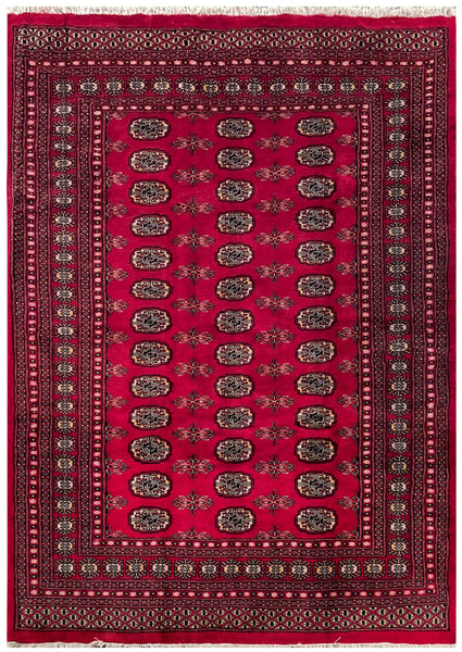 25045-Royal Bokhara Hand-Knotted/Handmade Pakistani Rug/Carpet Tribal/Nomadic Authentic/ Size: 8'0" x 5'7"/244cm x 170cm