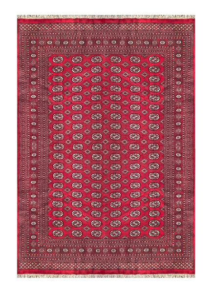 25292-Bokhara Hand-Knotted/Handmade Pakistani Rug/Carpet Tribal/Nomadic Authentic/ Size: 10'0" x 7'11"