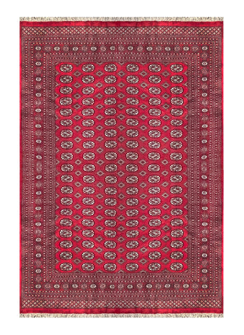 25292-Bokhara Hand-Knotted/Handmade Pakistani Rug/Carpet Tribal/Nomadic Authentic/ Size: 10'0" x 7'11"
