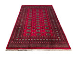 25045-Royal Bokhara Hand-Knotted/Handmade Pakistani Rug/Carpet Tribal/Nomadic Authentic/ Size: 8'0" x 5'7"/244cm x 170cm