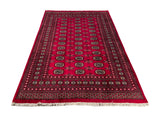 25045-Royal Bokhara Hand-Knotted/Handmade Pakistani Rug/Carpet Tribal/Nomadic Authentic/ Size: 8'0" x 5'7"