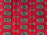25045-Royal Bokhara Hand-Knotted/Handmade Pakistani Rug/Carpet Tribal/Nomadic Authentic/ Size: 8'0" x 5'7"/244cm x 170cm