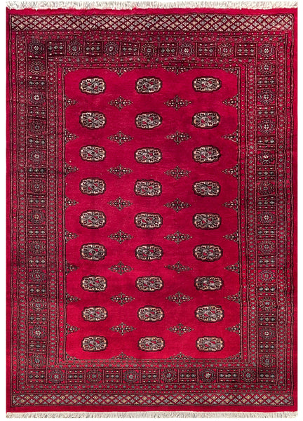 25027-Fine Bokhara Hand-Knotted/Handmade Pakistani Rug/Carpet Tribal/Nomadic Authentic/ Size: 8'2" x 5'7"/249cm x 170cm