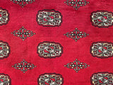 25027-Fine Bokhara Hand-Knotted/Handmade Pakistani Rug/Carpet Tribal/Nomadic Authentic/ Size: 8'2" x 5'7"/249cm x 170cm
