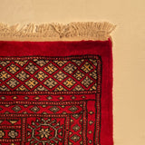 25027-Fine Bokhara Hand-Knotted/Handmade Pakistani Rug/Carpet Tribal/Nomadic Authentic/ Size: 8'2" x 5'7"/249cm x 170cm