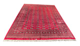 25290-Bokhara Hand-Knotted/Handmade Pakistani Rug/Carpet Tribal/Nomadic Authentic/ Size: 10'2" x 8'0"