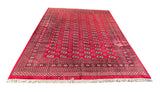 25290-Bokhara Hand-Knotted/Handmade Pakistani Rug/Carpet Tribal/Nomadic Authentic/ Size: 10'2" x 8'0"/310cm x 244cm