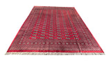 25292-Bokhara Hand-Knotted/Handmade Pakistani Rug/Carpet Tribal/Nomadic Authentic/ Size: 10'0" x 7'11"