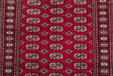 25224-Bokhara Hand-Knotted/Handmade Pakistani Rug/Carpet Tribal/Nomadic Authentic/ Size: 5'11" x 3'10"