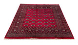 25332-Bokhara Hand-Knotted/Handmade Pakistani Rug/Carpet Tribal/Nomadic Authentic/ Size: 6'3" x 6'2"