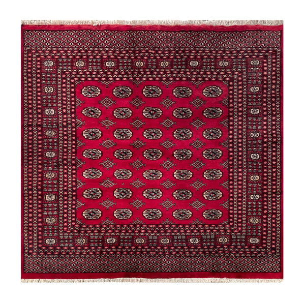 25332-Bokhara Hand-Knotted/Handmade Pakistani Rug/Carpet Tribal/Nomadic Authentic/ Size: 6'3" x 6'2"