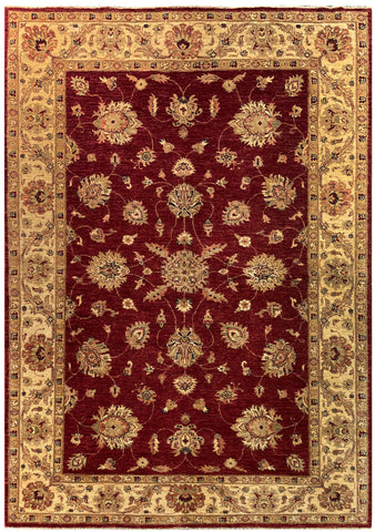 19272-Chobi Ziegler Hand-Knotted/Handmade Afghan Rug/Carpet Tribal/Nomadic Authentic/ Size: 7'8" x 5'6"