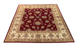 19284-Chobi Ziegler Hand-Knotted/Handmade Afghan Rug/Carpet Tribal/Nomadic Authentic/ Size: 6'4" x 6'4"