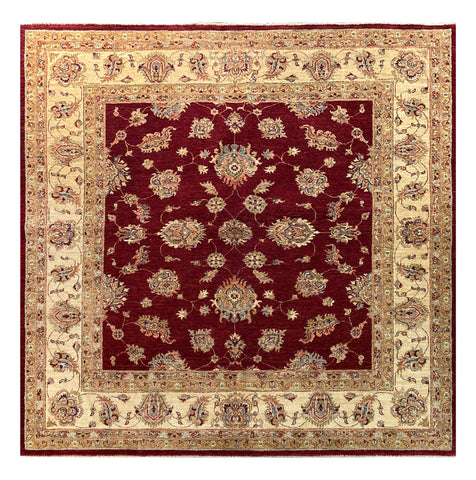 19284-Chobi Ziegler Hand-Knotted/Handmade Afghan Rug/Carpet Tribal/Nomadic Authentic/ Size: 6'4" x 6'4"