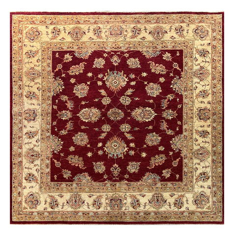 19284-Chobi Ziegler Hand-Knotted/Handmade Afghan Rug/Carpet Tribal/Nomadic Authentic/ Size: 6'4" x 6'4"