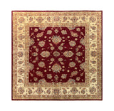 19284-Chobi Ziegler Hand-Knotted/Handmade Afghan Rug/Carpet Tribal/Nomadic Authentic/ Size: 6'4" x 6'4"