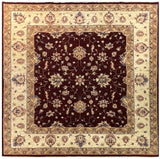 19259-Chobi Ziegler Hand-Knotted/Handmade Afghan Rug/Carpet Tribal/Nomadic Authentic/ Size: 6'7" x 6'8"