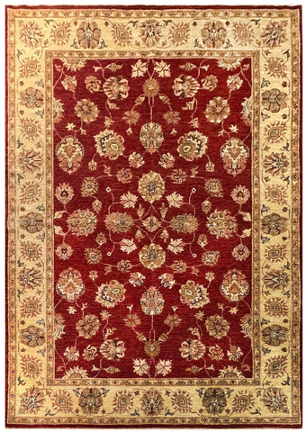 19255-Chobi Ziegler Hand-Knotted/Handmade Afghan Rug/Carpet Tribal/Nomadic Authentic/ Size: 8'3" x 5'9"
