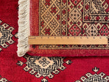 25194- Jaldar Hand-knotted/Handmade Pakistani Rug/Carpet Traditional Authentic/Size: 8'7" x 5'1"
