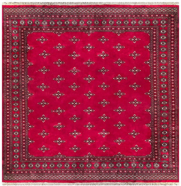 25299-Bokhara Hand-Knotted/Handmade Pakistani Rug/Carpet Tribal/Nomadic Authentic/ Size: 8'4" x 8'2"