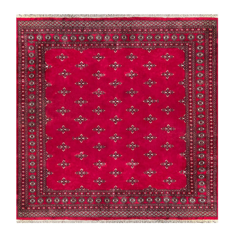 25299-Bokhara Hand-Knotted/Handmade Pakistani Rug/Carpet Tribal/Nomadic Authentic/ Size: 8'4" x 8'2"