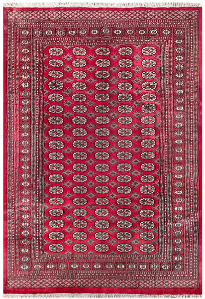 25300-Bokhara Hand-Knotted/Handmade Pakistani Rug/Carpet Tribal/Nomadic Authentic/ Size: 9'1" x 6'2"