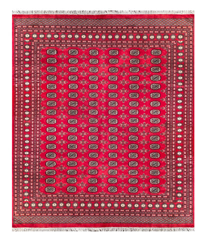 25291-Bokhara Hand-Knotted/Handmade Pakistani Rug/Carpet Tribal/Nomadic Authentic/ Size/: 9'11" x 8'1"