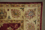 19255-Chobi Ziegler Hand-Knotted/Handmade Afghan Rug/Carpet Tribal/Nomadic Authentic/ Size: 8'3" x 5'9"