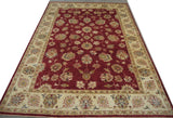 19255-Chobi Ziegler Hand-Knotted/Handmade Afghan Rug/Carpet Tribal/Nomadic Authentic/ Size: 8'3" x 5'9"