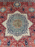 23924 - Royal Chobi Ziegler Afghan Hand-Knotted Contemporary/Traditional/Size: 9'11" x 8'0"